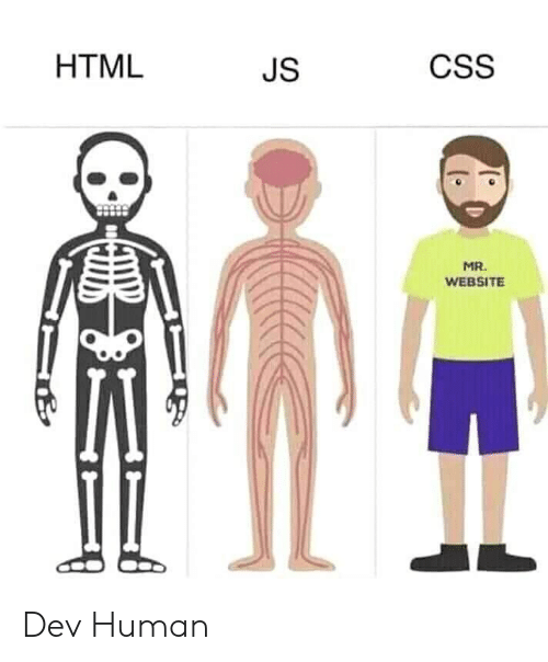 Web Structure